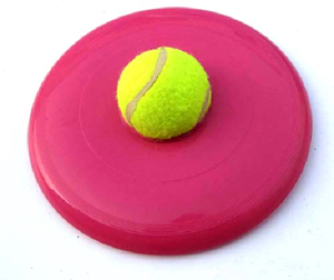 Frisbee w/tennis ball